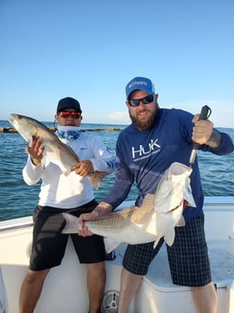 Redfish fishing in Clearwater, Florida