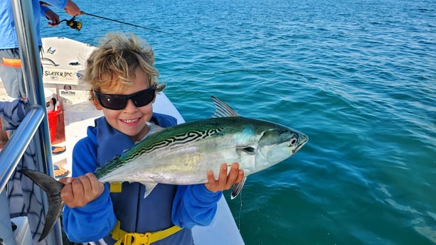 Little Tunny / False Albacore fishing in Beaufort, North Carolina