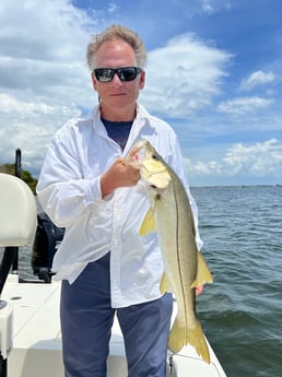 Snook fishing in Fort Myers, Florida