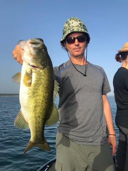 Largemouth Bass fishing in Austin, Texas