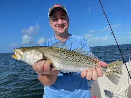 Speckled Trout Fishing in Islamorada, Florida