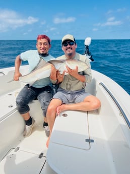 Cobia Fishing in Mount Pleasant, South Carolina