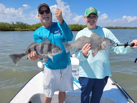 Snook fishing in New Smyrna Beach, Florida