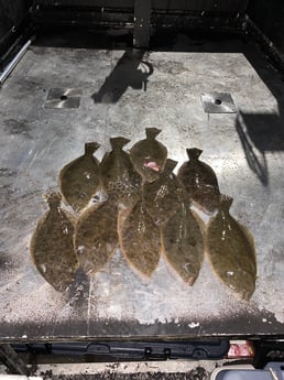 Flounder fishing in Galveston, Texas