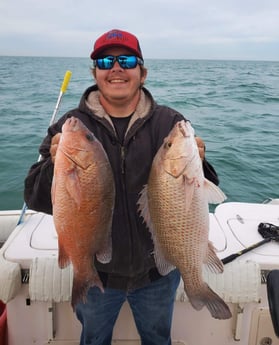 Gag Grouper fishing in Clearwater, Florida