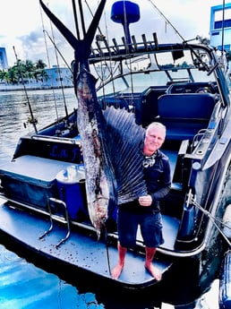 Sailfish Fishing in Miami, Florida