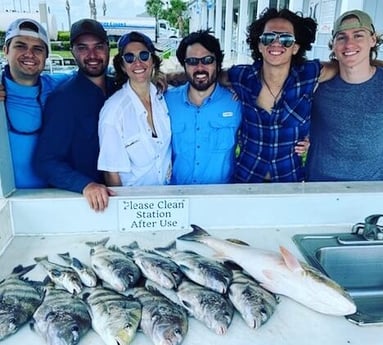 Redfish, Sheepshead, Speckled Trout / Spotted Seatrout fishing in Galveston, Texas