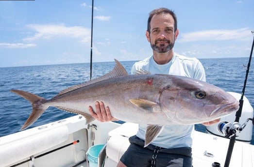 Amberjack Fishing in Boynton Beach, Florida