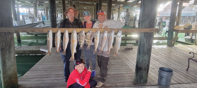 Redfish, Sheepshead fishing in Port O&#039;Connor, Texas