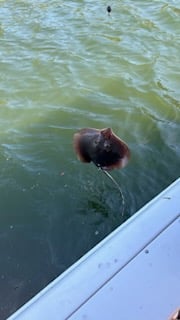 Fishing in Destin, Florida