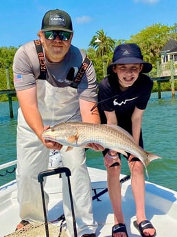 Snook fishing in Sarasota, Florida