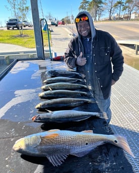 Redfish, Speckled Trout Fishing in Galveston, Texas