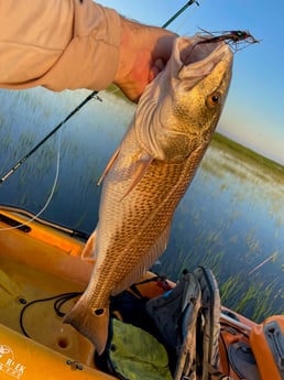 Redfish fishing in St. Augustine, Florida