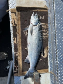 Fishing in Tigard, Oregon