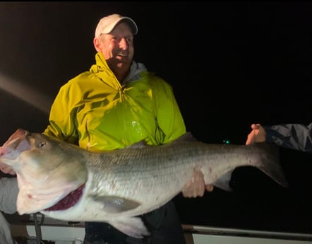 Fishing in Montauk, New York