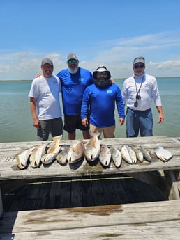 Black Drum, Flounder, Redfish, Speckled Trout Fishing in Galveston, Texas