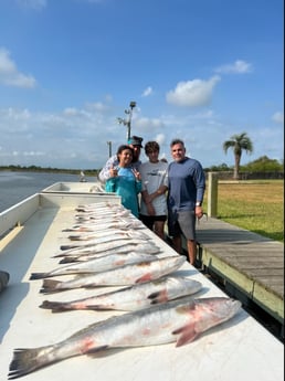 Speckled Trout / Spotted Seatrout fishing in Galveston, Texas