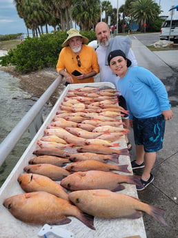 Amberjack fishing in Clearwater, Florida