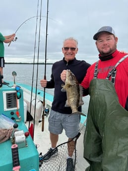 Gag Grouper Fishing in Holmes Beach, Florida