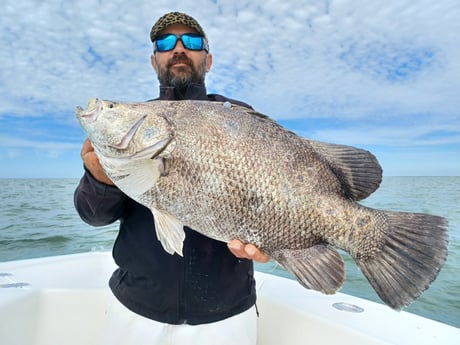 Tripletail fishing in Marathon, Florida