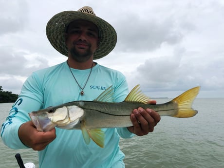 Snook fishing in Tavernier, Florida