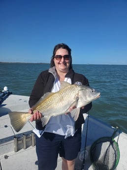 Black Drum fishing in Corpus Christi, Texas