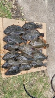 Flounder Fishing in Port Aransas, Texas