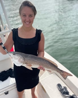 Redfish Fishing in Sarasota, Florida