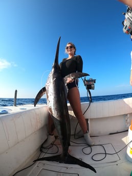 Swordfish Fishing in Pompano Beach, Florida