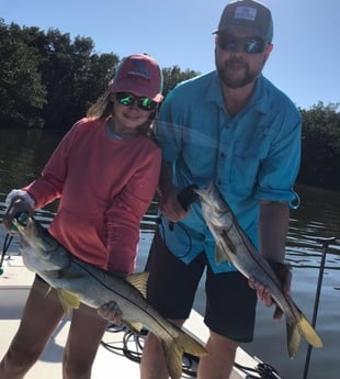 Snook Fishing in St. Petersburg, Florida