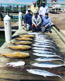 King Mackerel / Kingfish, Redfish, Hardhead Catfish fishing in Galveston, Texas