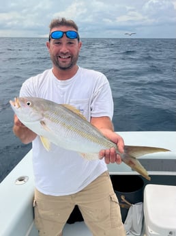 Fishing in Marathon, Florida