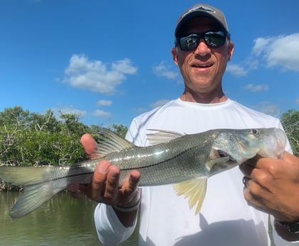 Snook fishing in Key Largo, Florida