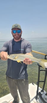 Snook Fishing in Islamorada, Florida