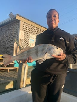 Sheepshead fishing in Corpus Christi, Texas