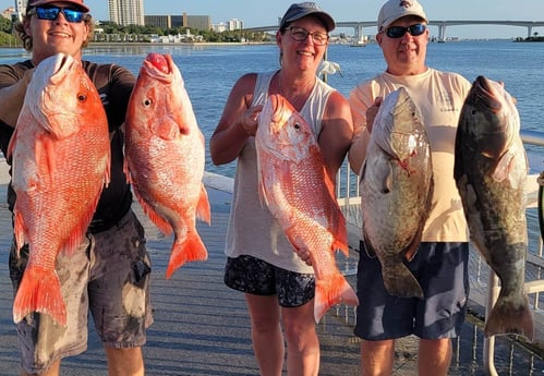 Gag Grouper, Red Snapper fishing in Clearwater, Florida