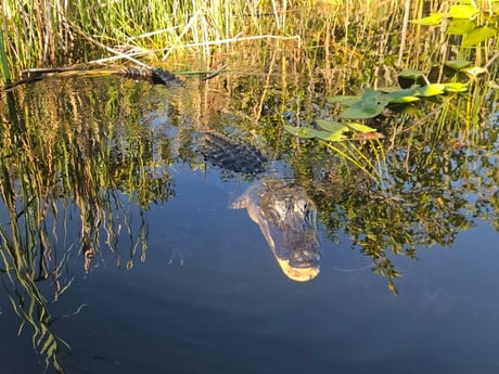 Fishing in Fort Lauderdale, Florida