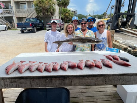 Cobia, Red Snapper fishing in Pensacola, Florida