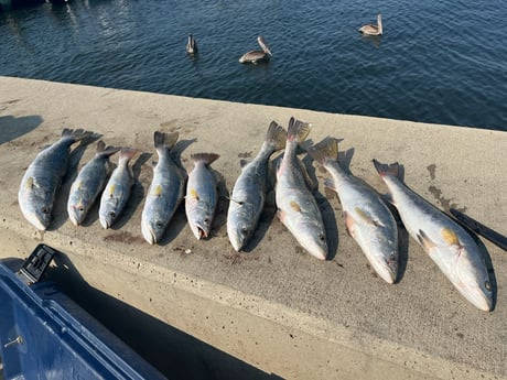 Fishing in Galveston, Texas