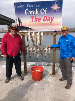 Black Drum, Redfish Fishing in Rockport, Texas