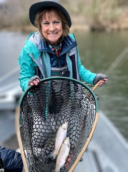 Rainbow Trout fishing in Broken Bow, Oklahoma