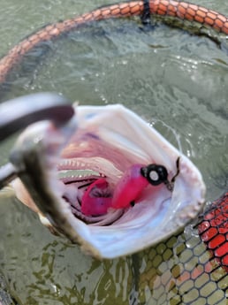 Flounder Fishing in Rio Hondo, Texas