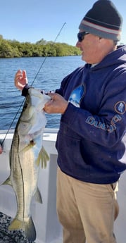 Snook Fishing in Jupiter, Florida