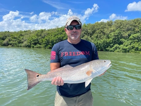 Redfish fishing in Clearwater, Florida