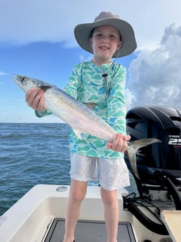 Fishing in Sarasota, Florida