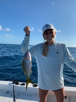 Yellowtail Snapper Fishing in Key Largo, Florida