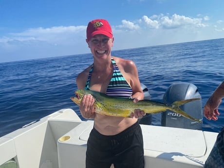 Mahi Mahi / Dorado fishing in Marathon, Florida