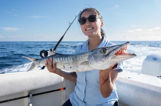 Barracuda Fishing in Boynton Beach, Florida