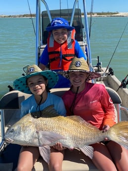 Redfish, Sheepshead fishing in Port Aransas, Texas