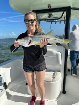 Snook Fishing in Key Largo, Florida